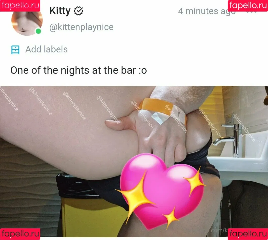 pettanhon Onlyfans Photo Gallery 