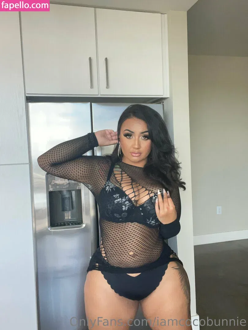 Coco Bunnie Onlyfans Photo Gallery 