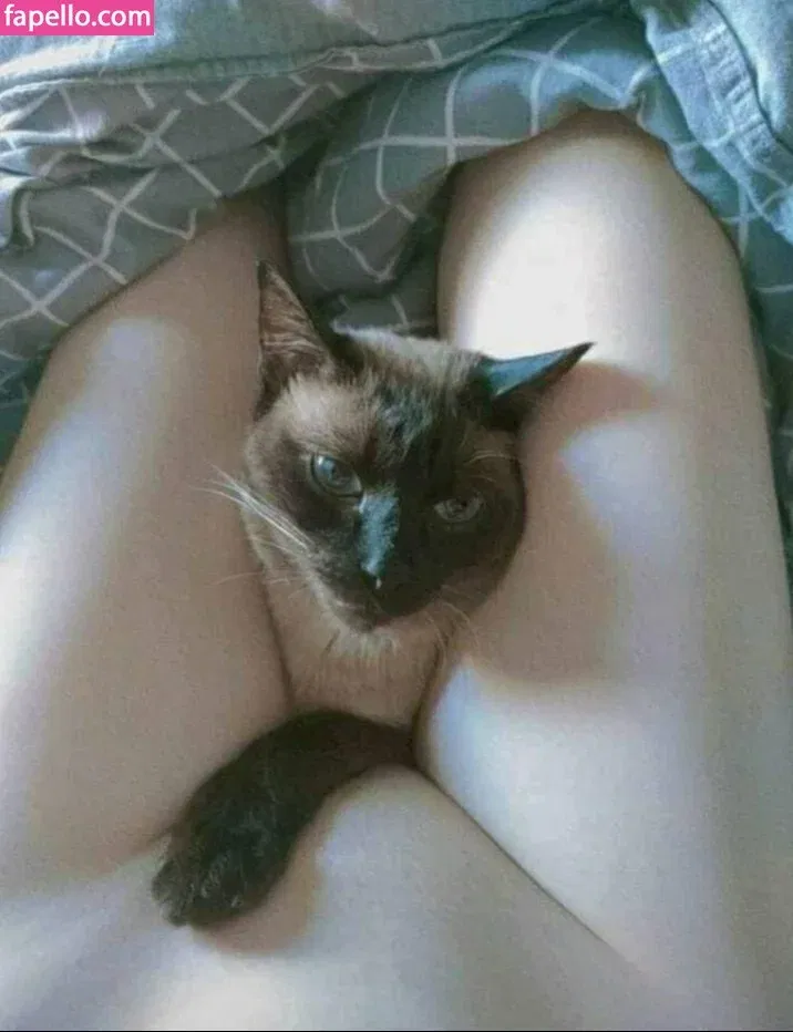 Yuusachii Onlyfans Photo Gallery 