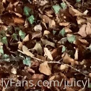 juicylucy505free Onlyfans Photo Gallery 