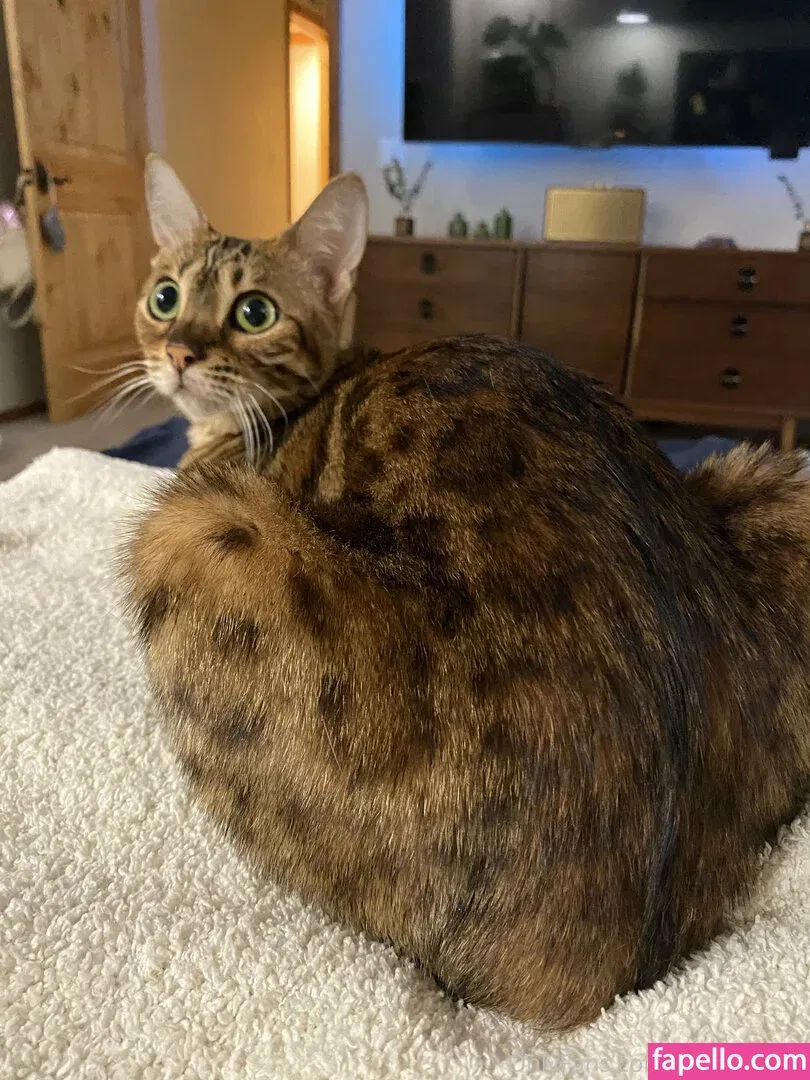 cartercruise Onlyfans Photo Gallery 