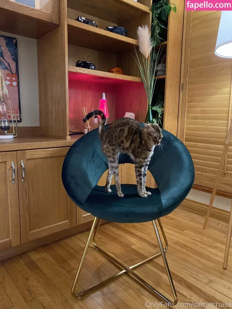 cartercruise Onlyfans Photo Gallery 