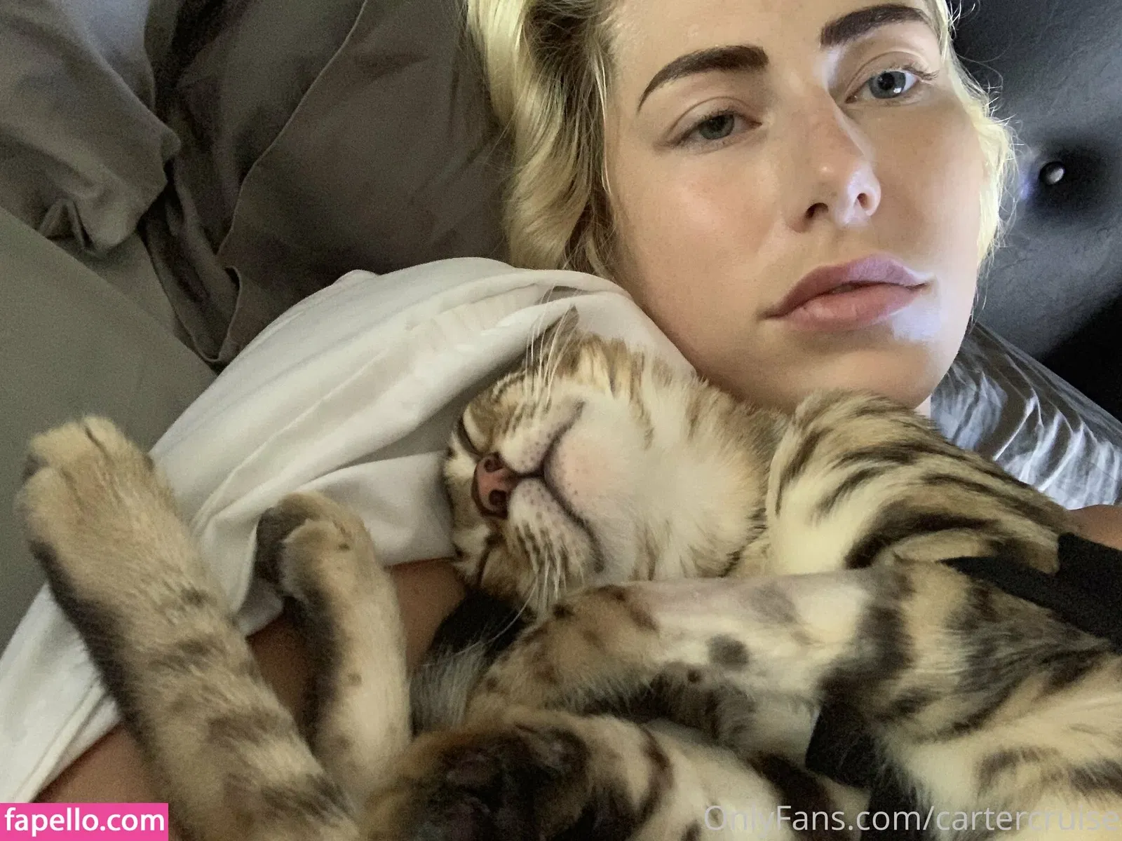 cartercruise Onlyfans Photo Gallery 