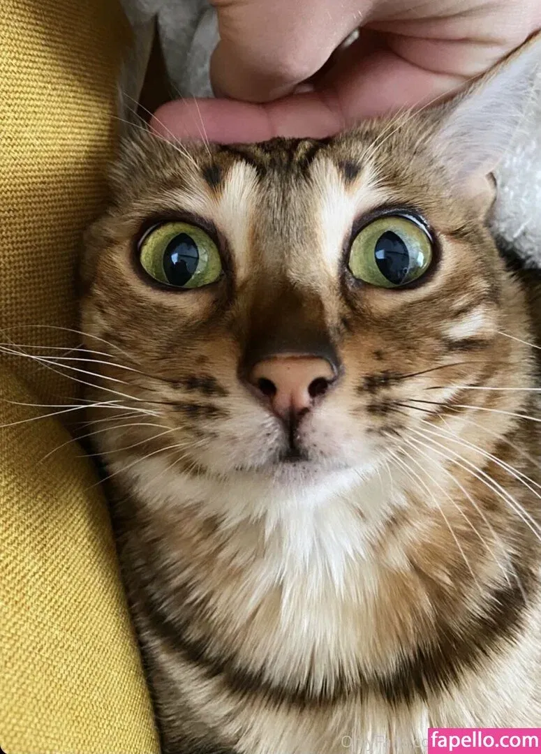 cartercruise Onlyfans Photo Gallery 