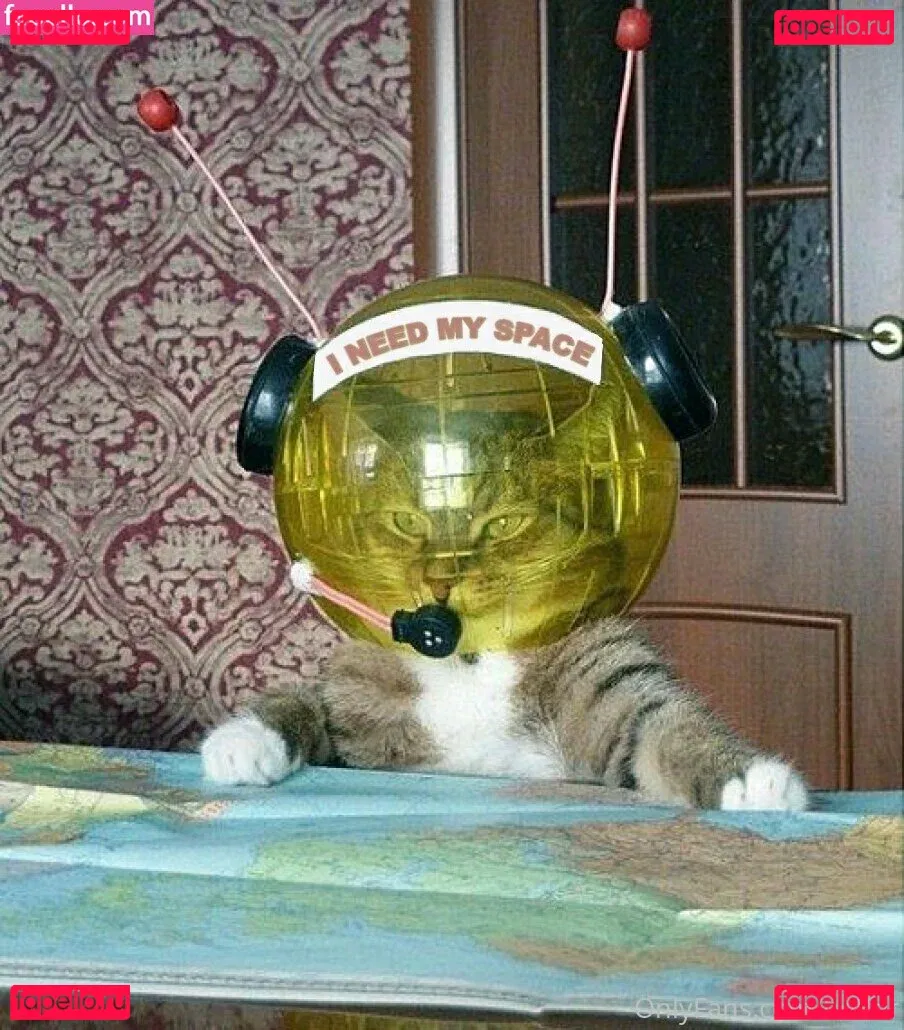 heffer Onlyfans Photo Gallery 