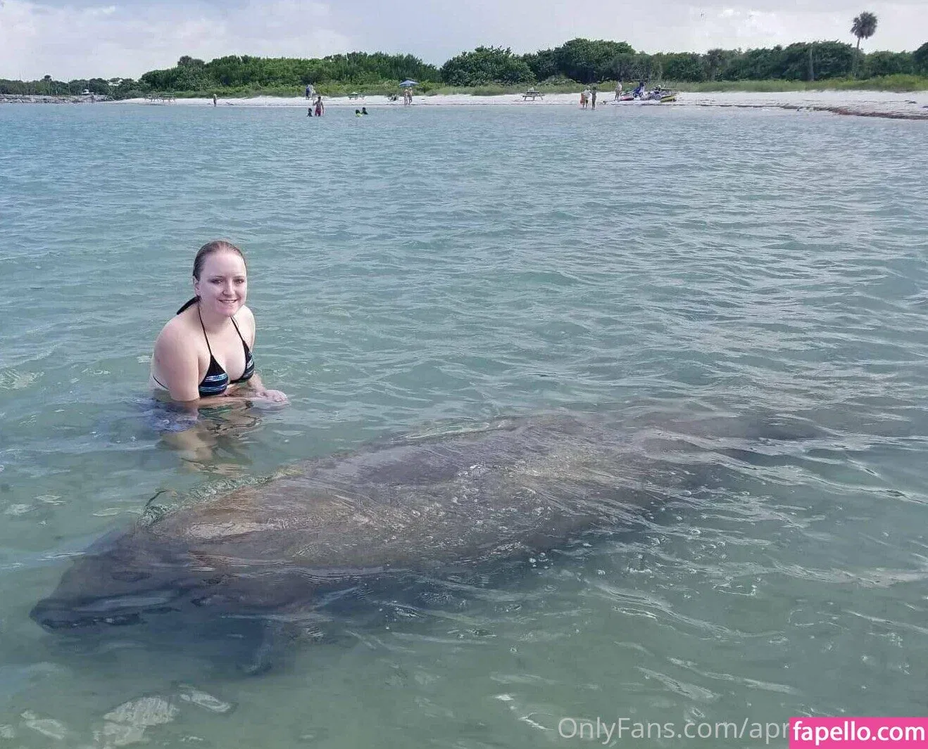 aprilrose1992 Onlyfans Photo Gallery 