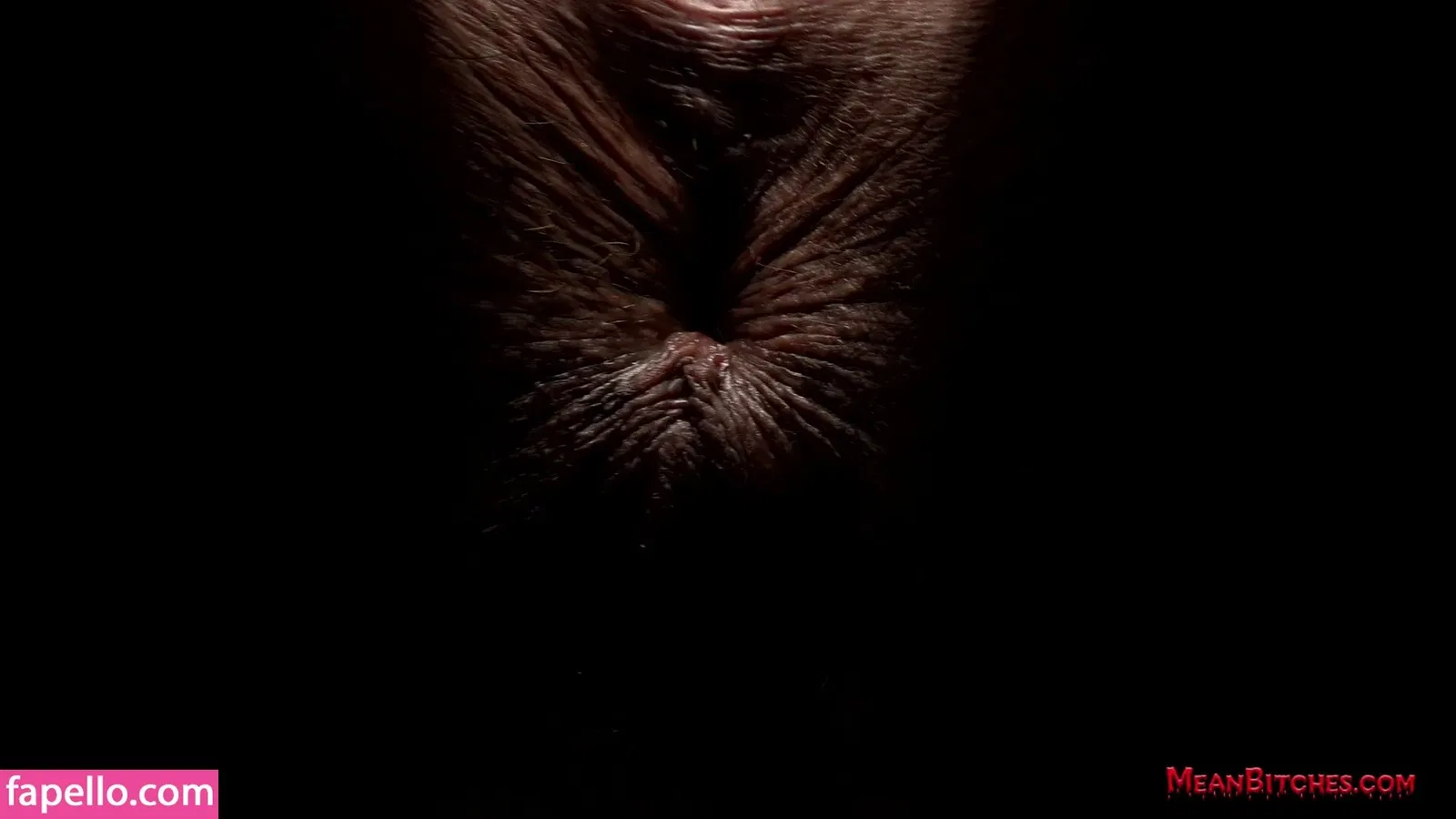 Ariana Starr Onlyfans Photo Gallery 