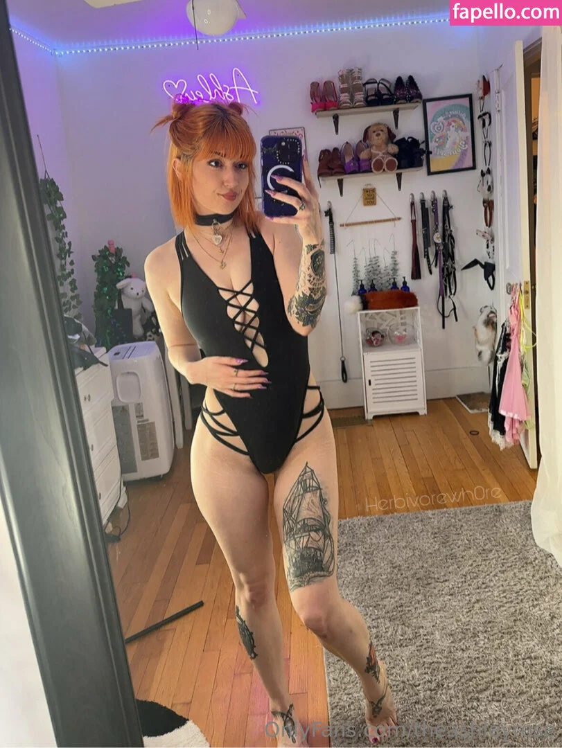 theashleyrose Onlyfans Photo Gallery 