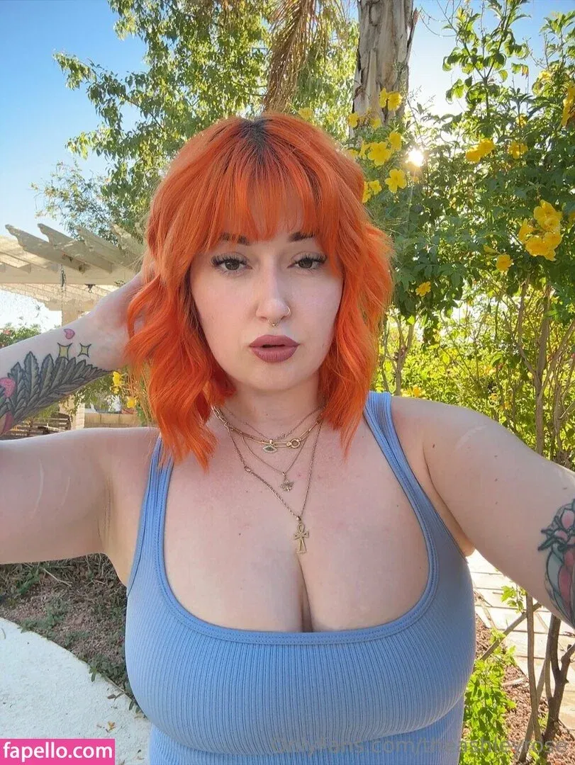 theashleyrose Onlyfans Photo Gallery 