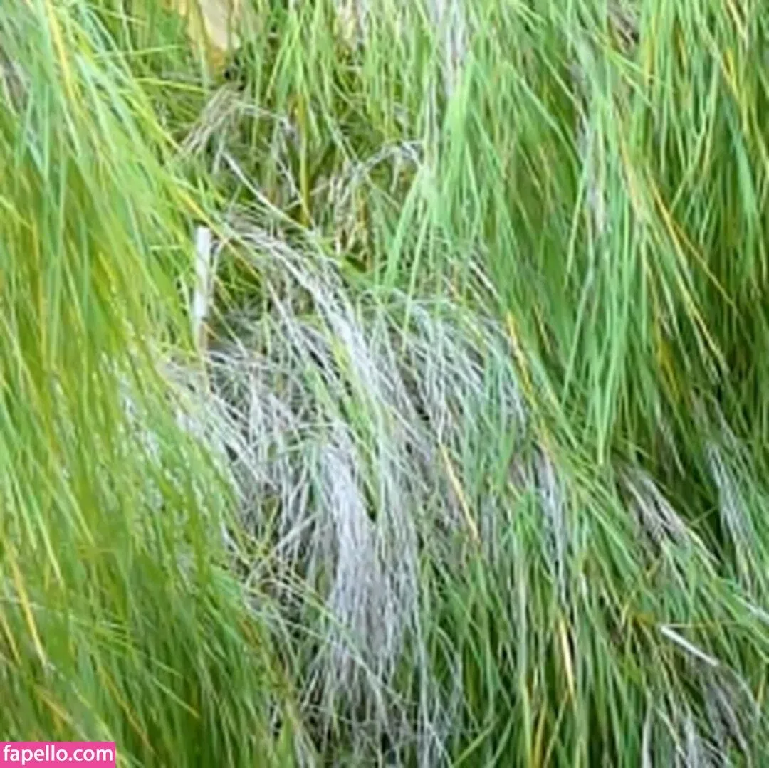 Petra Verkaik Onlyfans Photo Gallery 