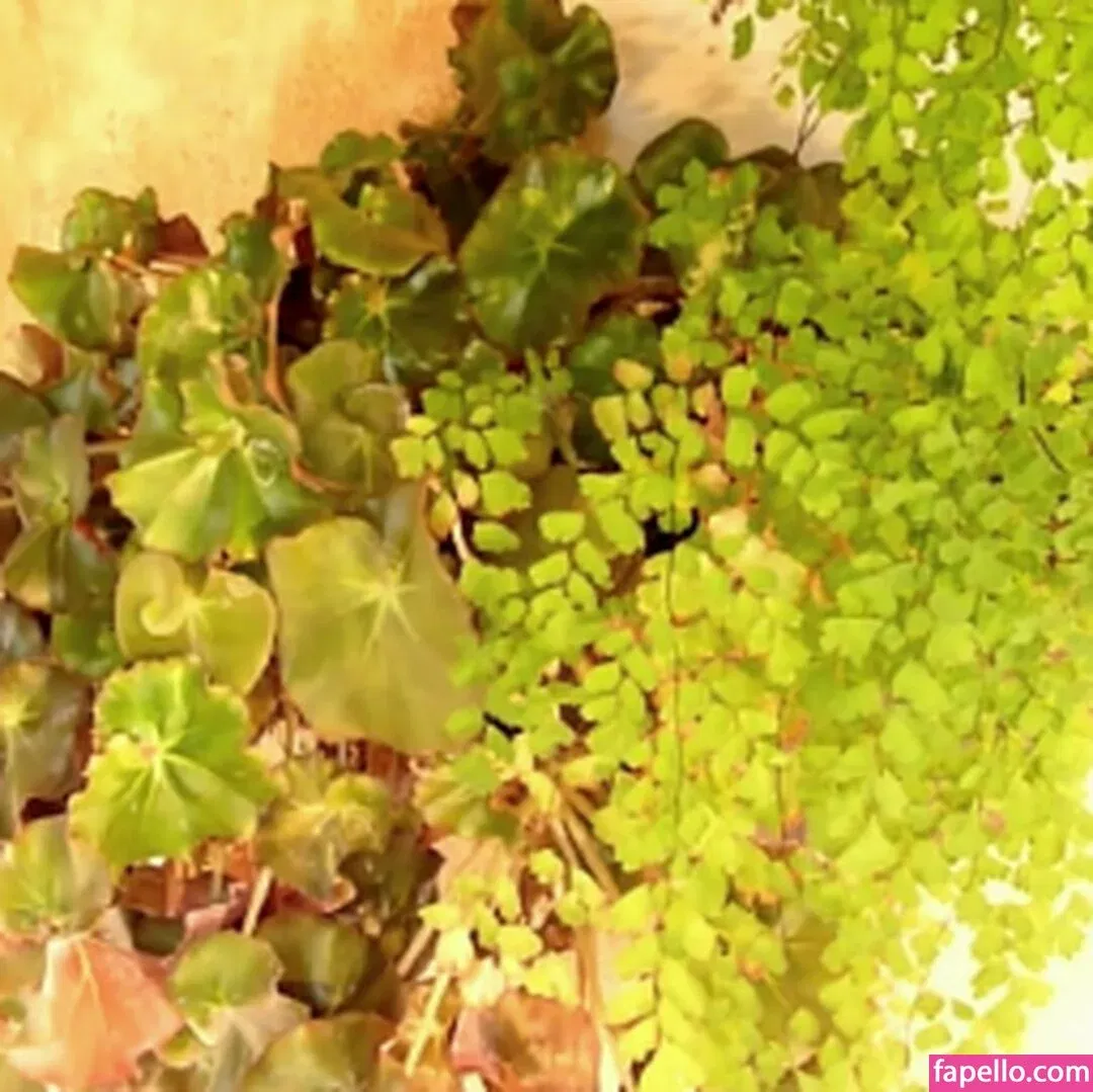 Petra Verkaik Onlyfans Photo Gallery 