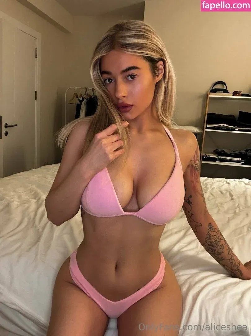 aliceshea Onlyfans Photo Gallery 