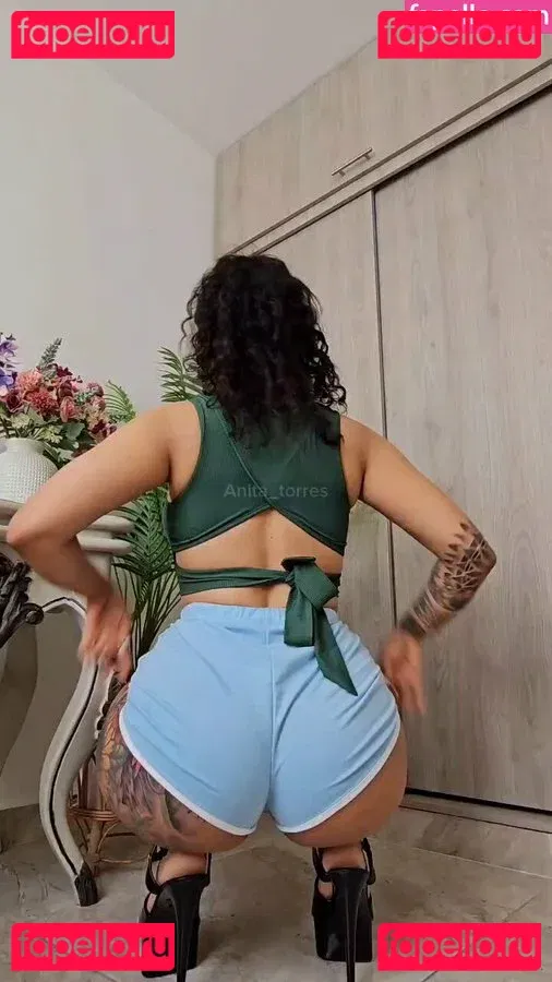 Anita Torres Onlyfans Photo Gallery 