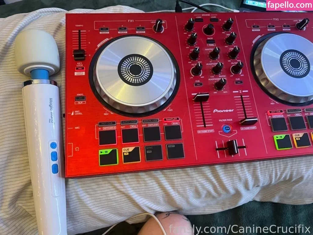 CanineCrucifix Onlyfans Photo Gallery 