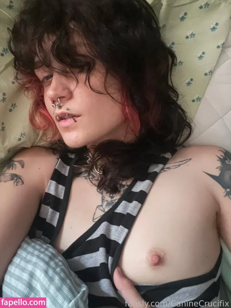 CanineCrucifix Onlyfans Photo Gallery 