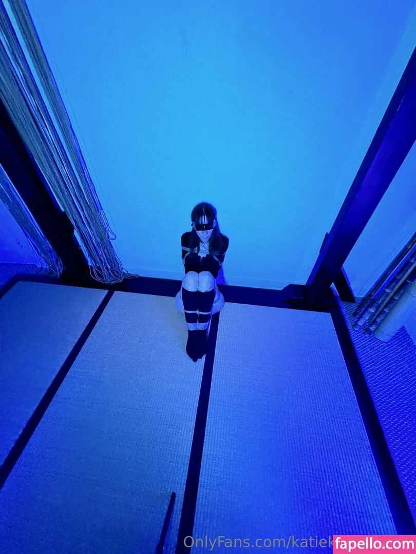 katiekillsyoufree Onlyfans Photo Gallery 