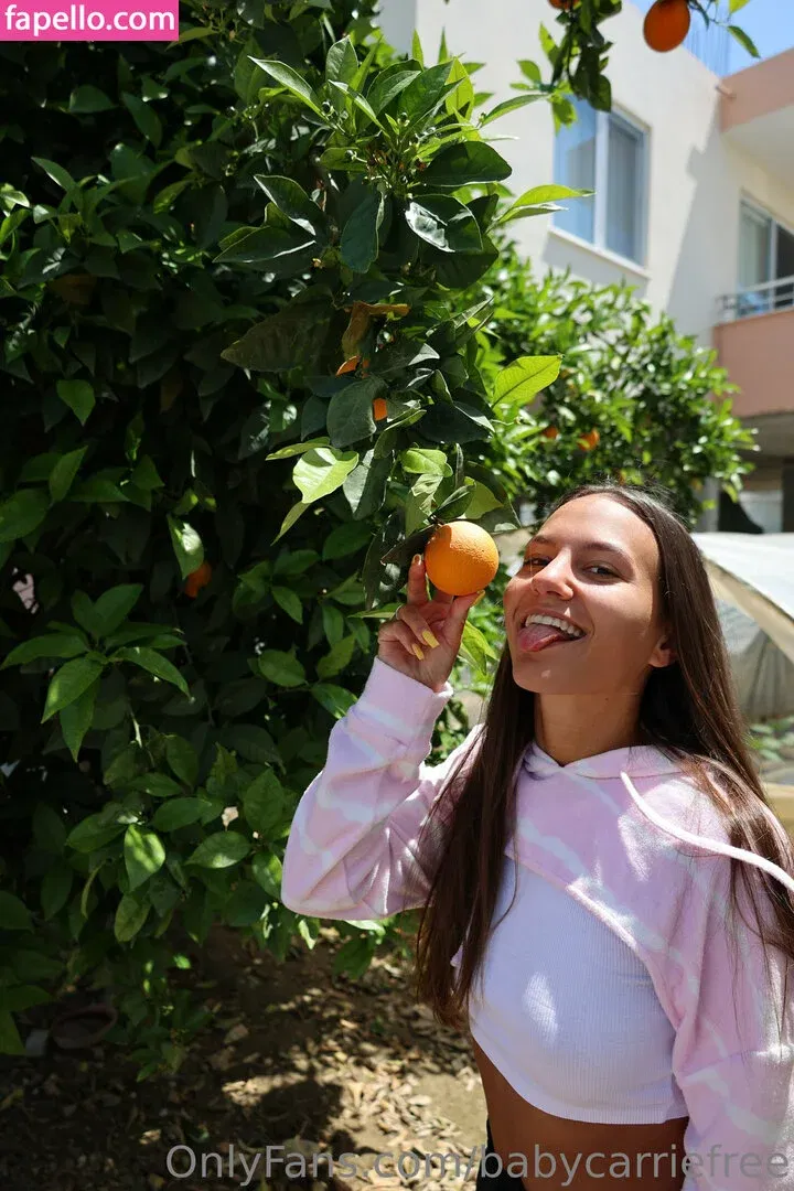 babycarriefree Onlyfans Photo Gallery 