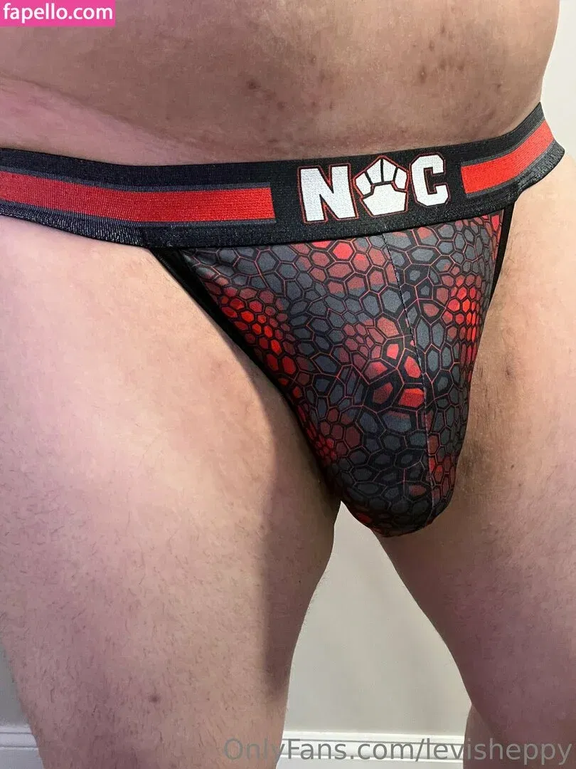 levisheppy Onlyfans Photo Gallery 