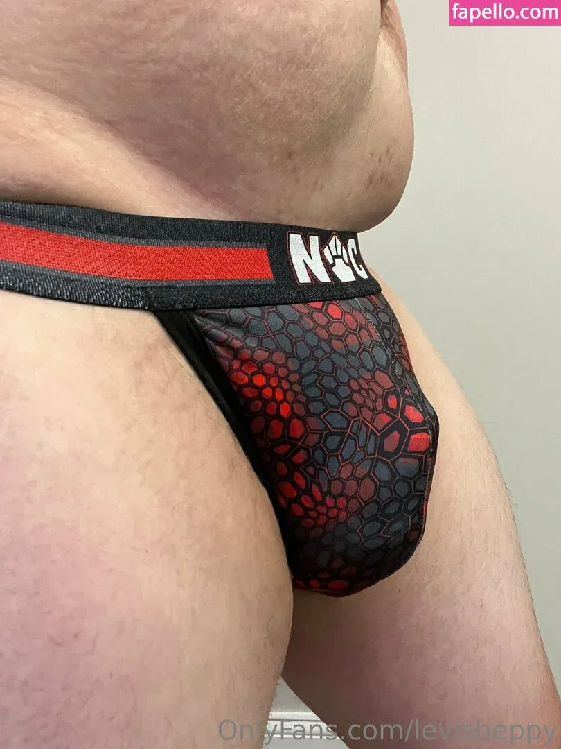 levisheppy Onlyfans Photo Gallery 