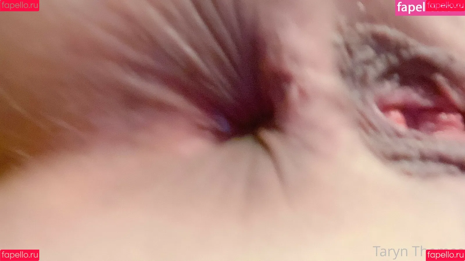 tarynthomas Onlyfans Photo Gallery 