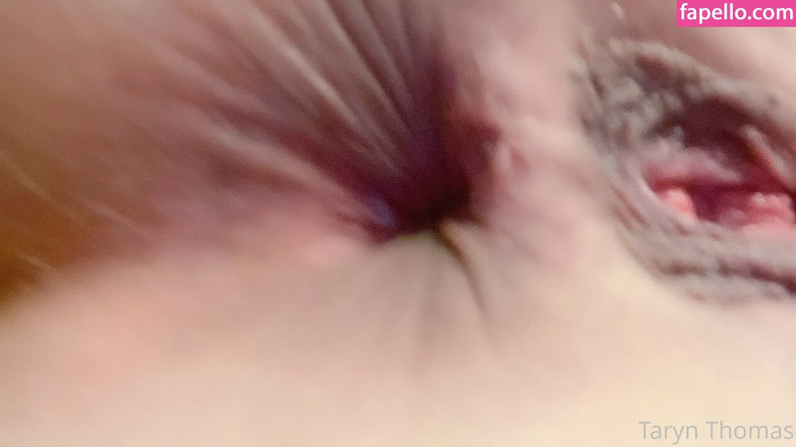 tarynthomas Onlyfans Photo Gallery 