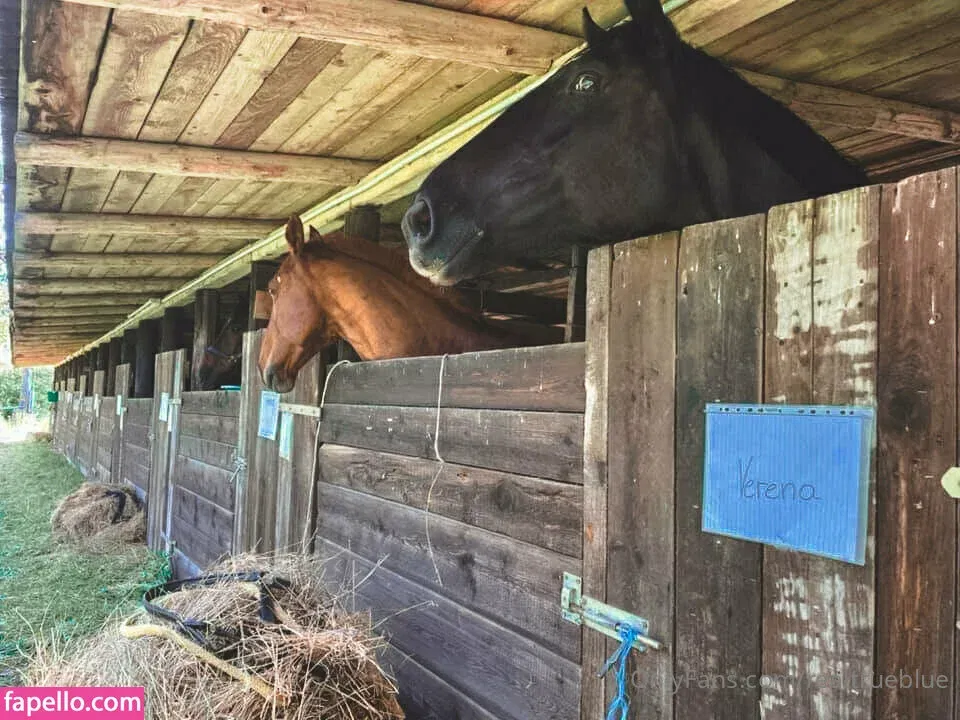 truestellablue Onlyfans Photo Gallery 