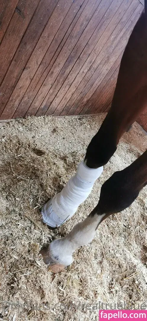 truestellablue Onlyfans Photo Gallery 