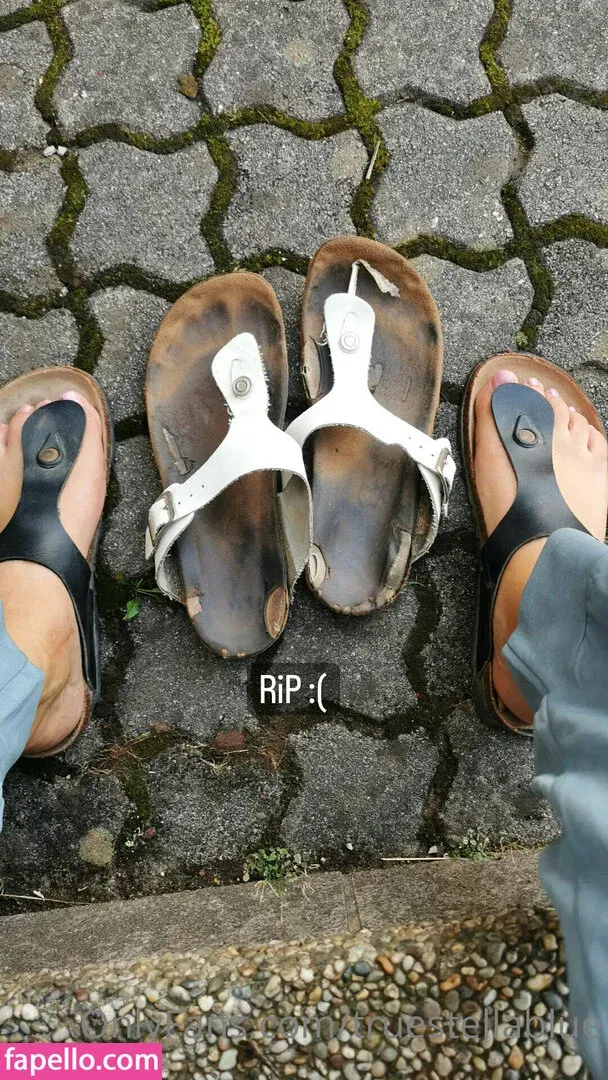 truestellablue Onlyfans Photo Gallery 