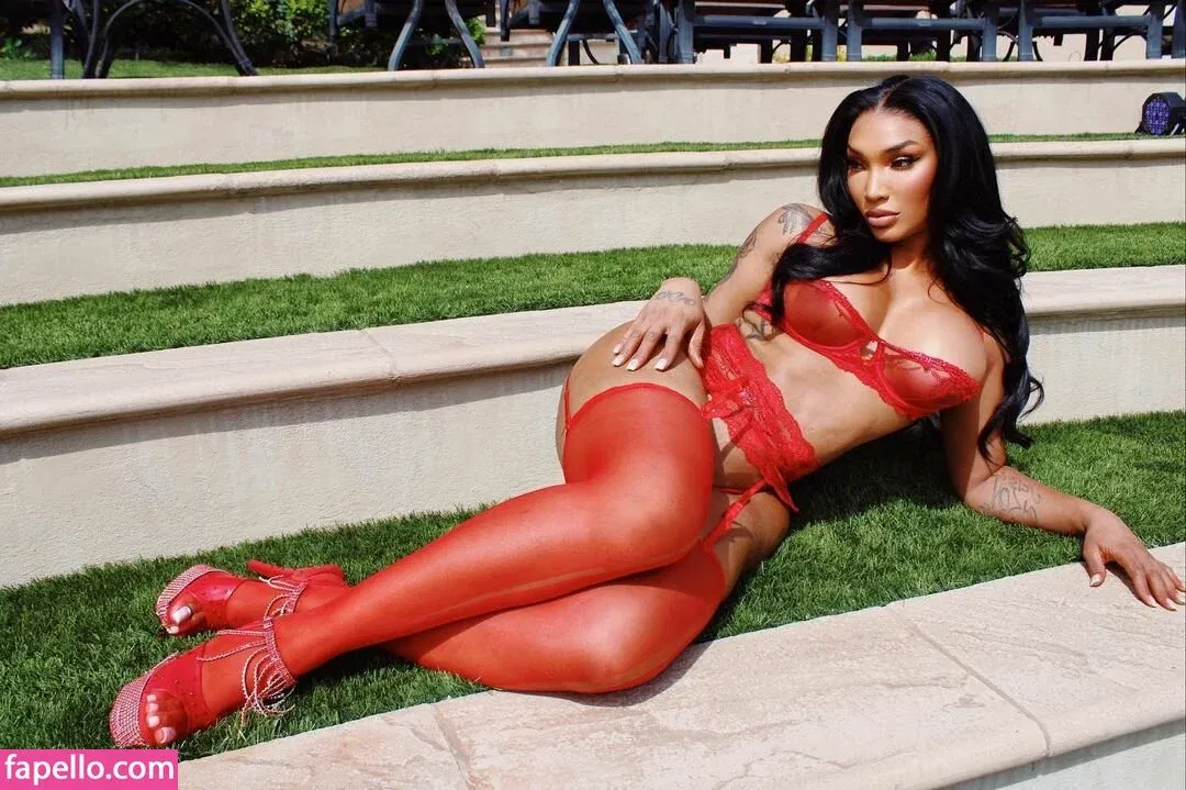 Tokyo Stylez Onlyfans Photo Gallery 