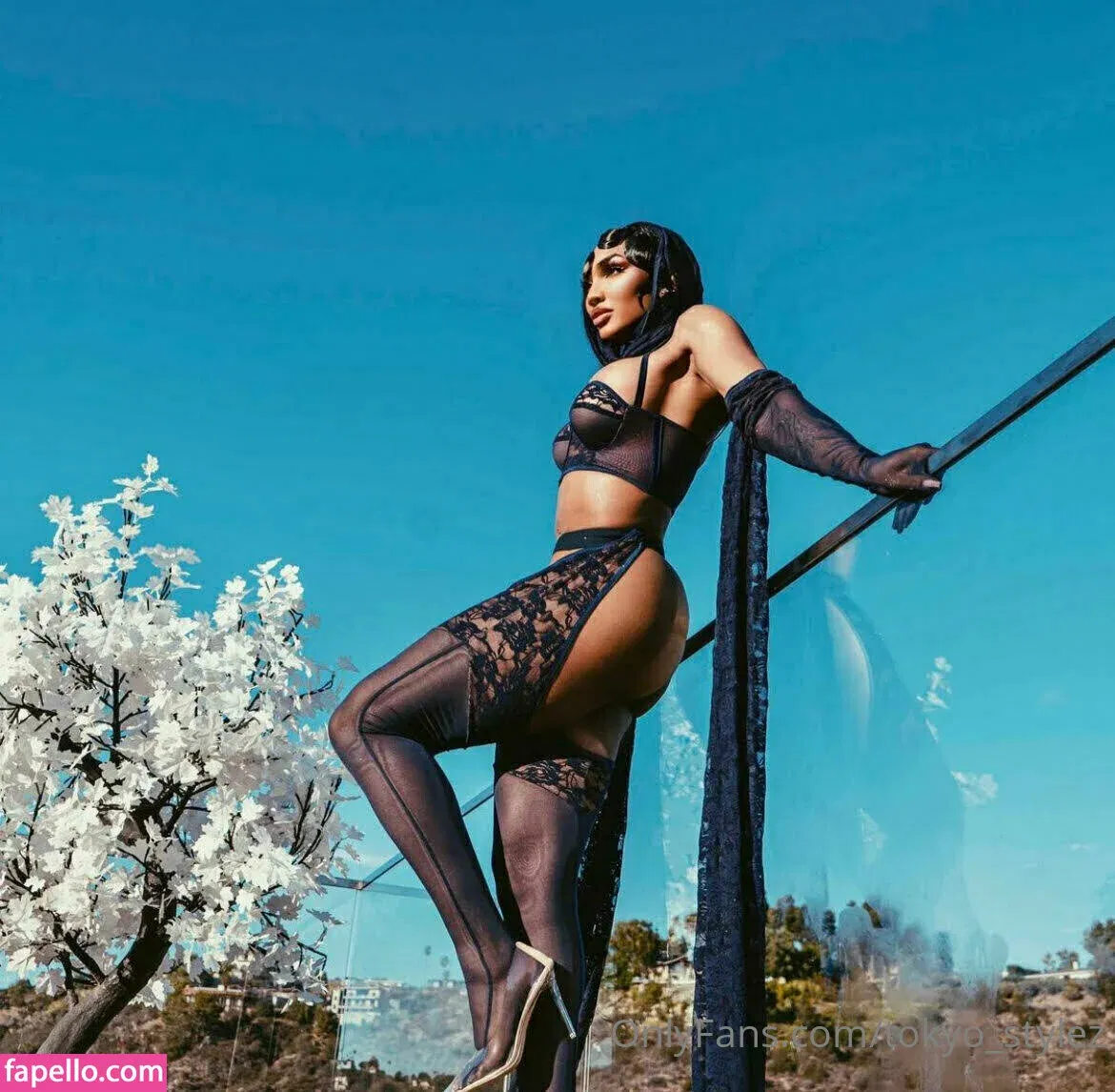 Tokyo Stylez Onlyfans Photo Gallery 