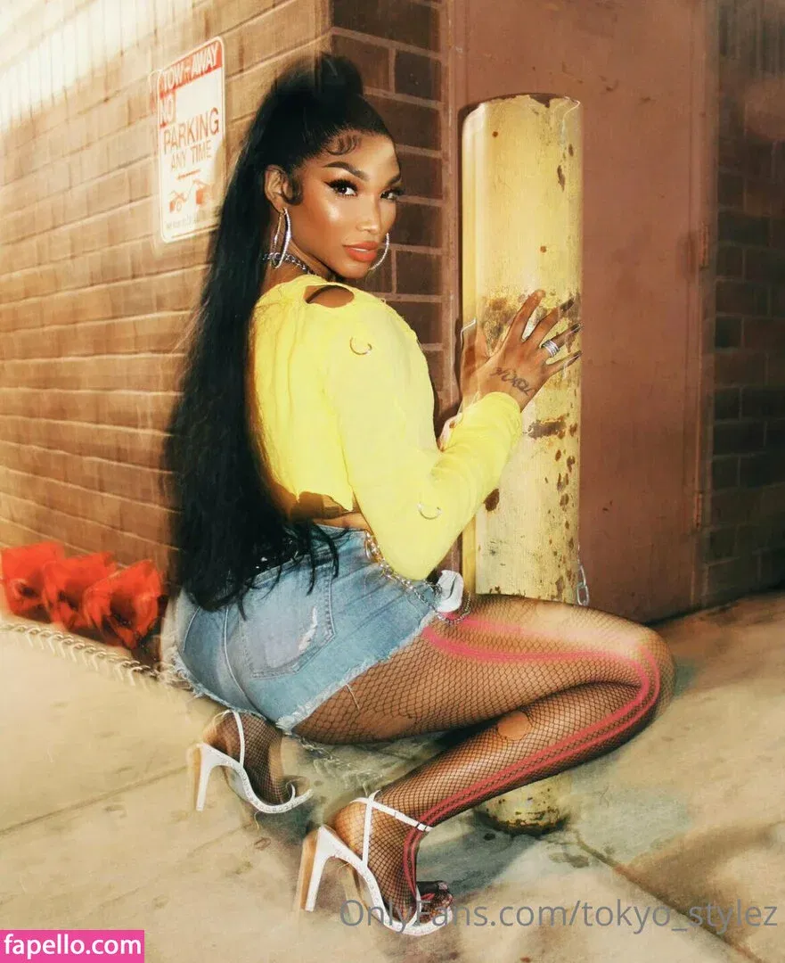 Tokyo Stylez Onlyfans Photo Gallery 