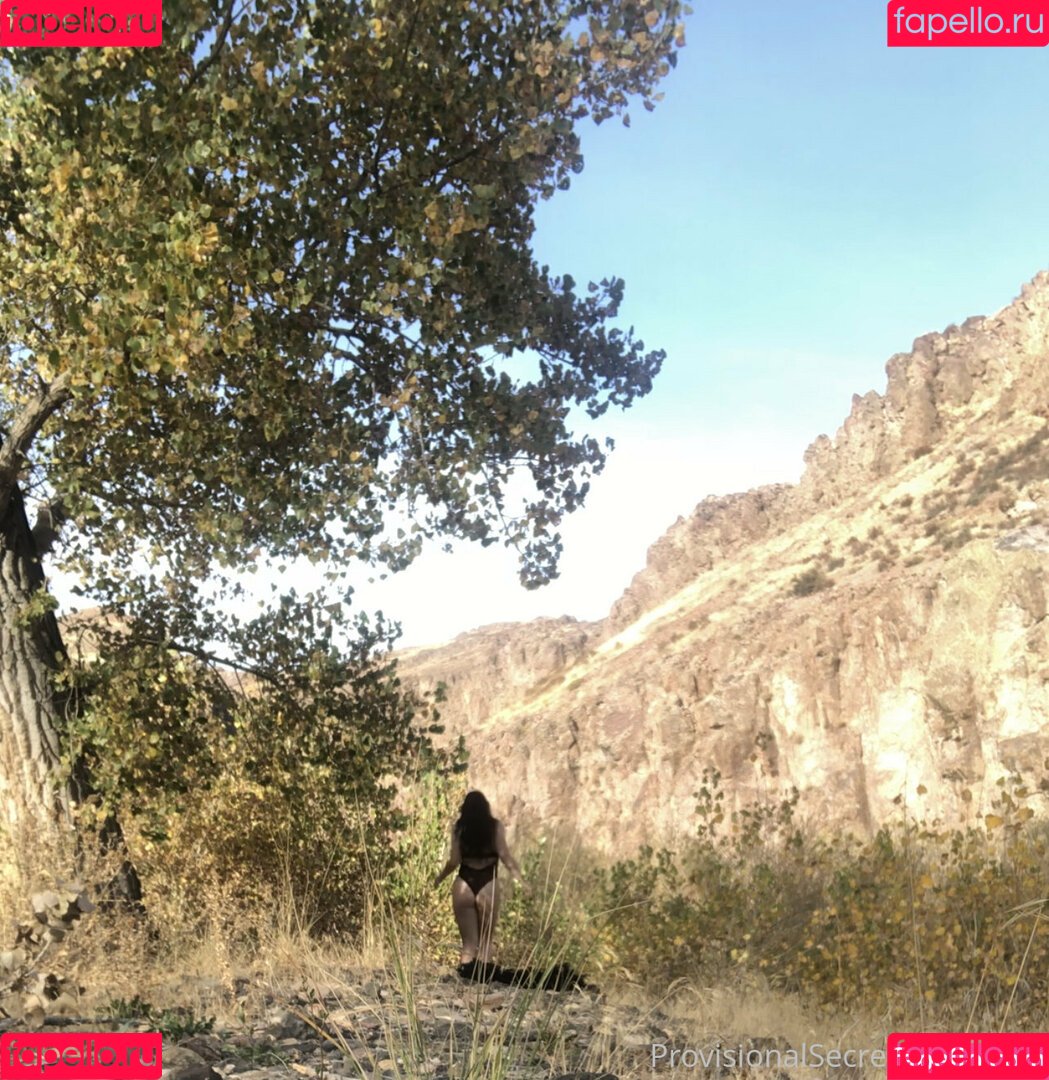 provisionalsecret Onlyfans Photo Gallery 