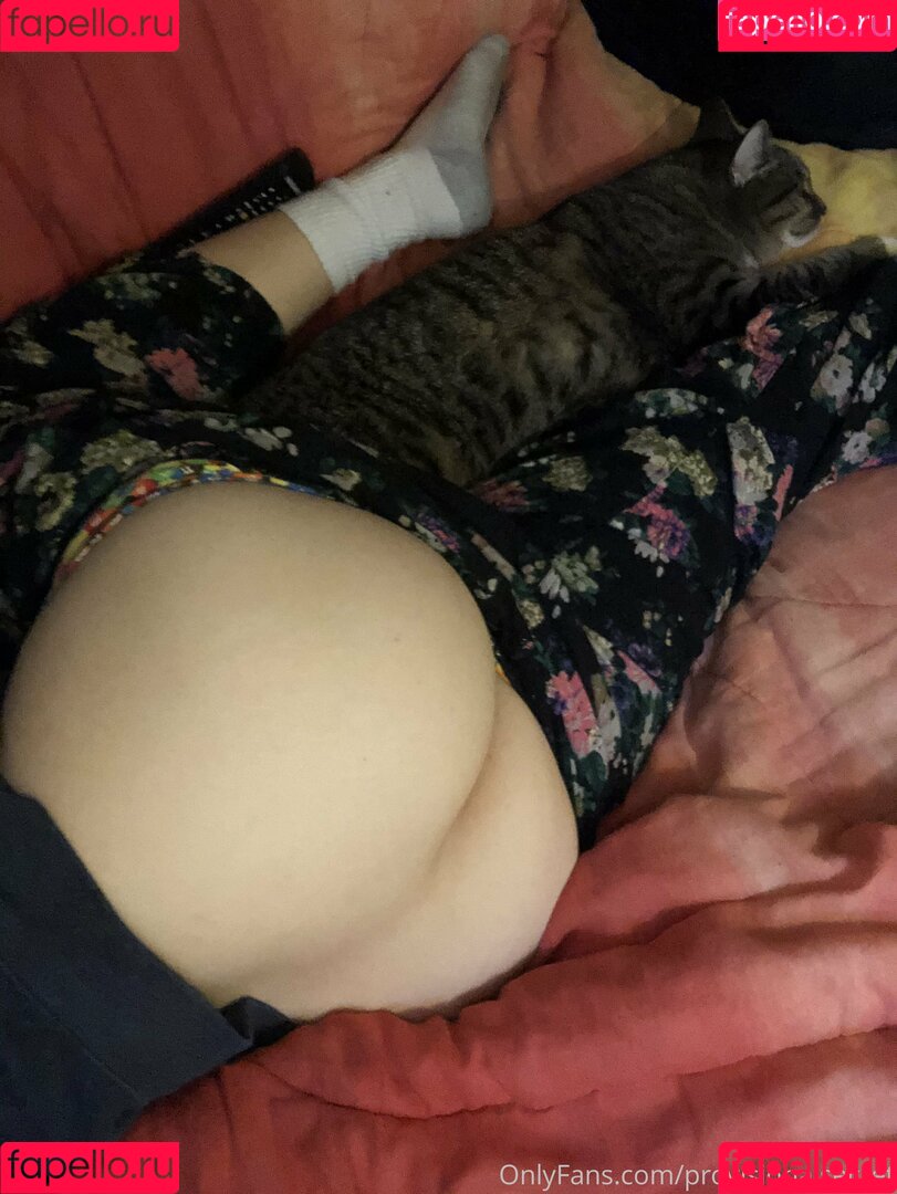 provisionalsecret Onlyfans Photo Gallery 