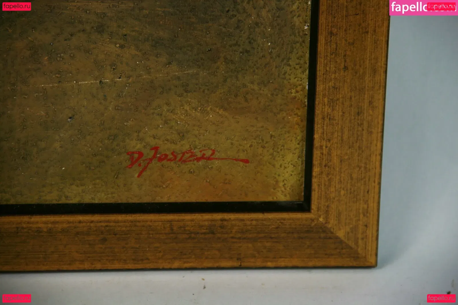 America Foster Onlyfans Photo Gallery 