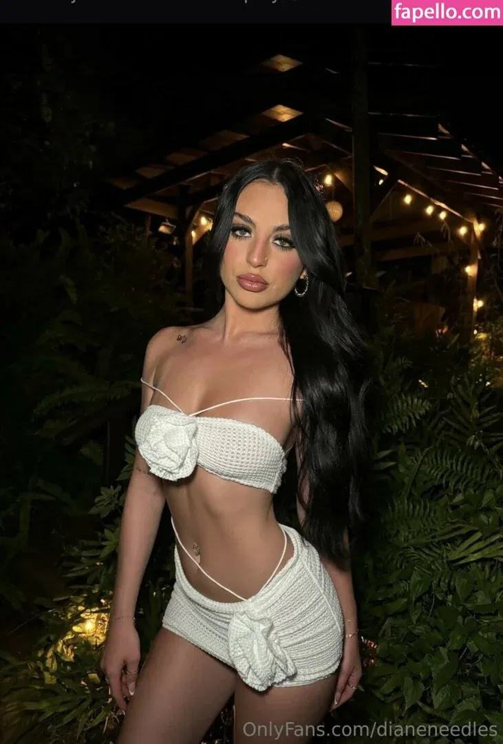dianeneedles Onlyfans Photo Gallery 