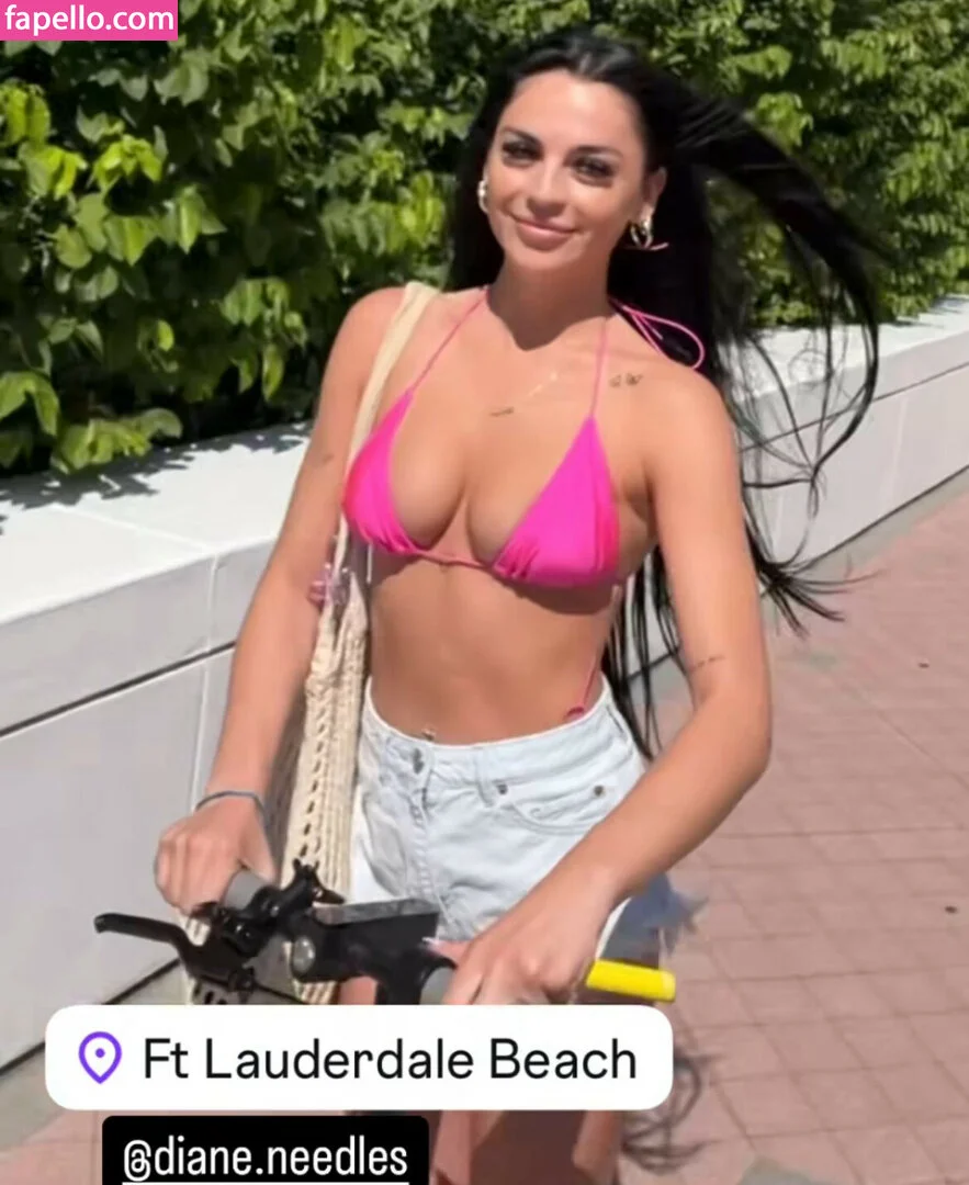 dianeneedles Onlyfans Photo Gallery 