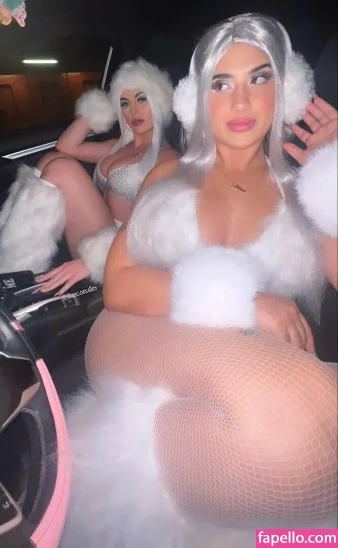 dianeneedles Onlyfans Photo Gallery 