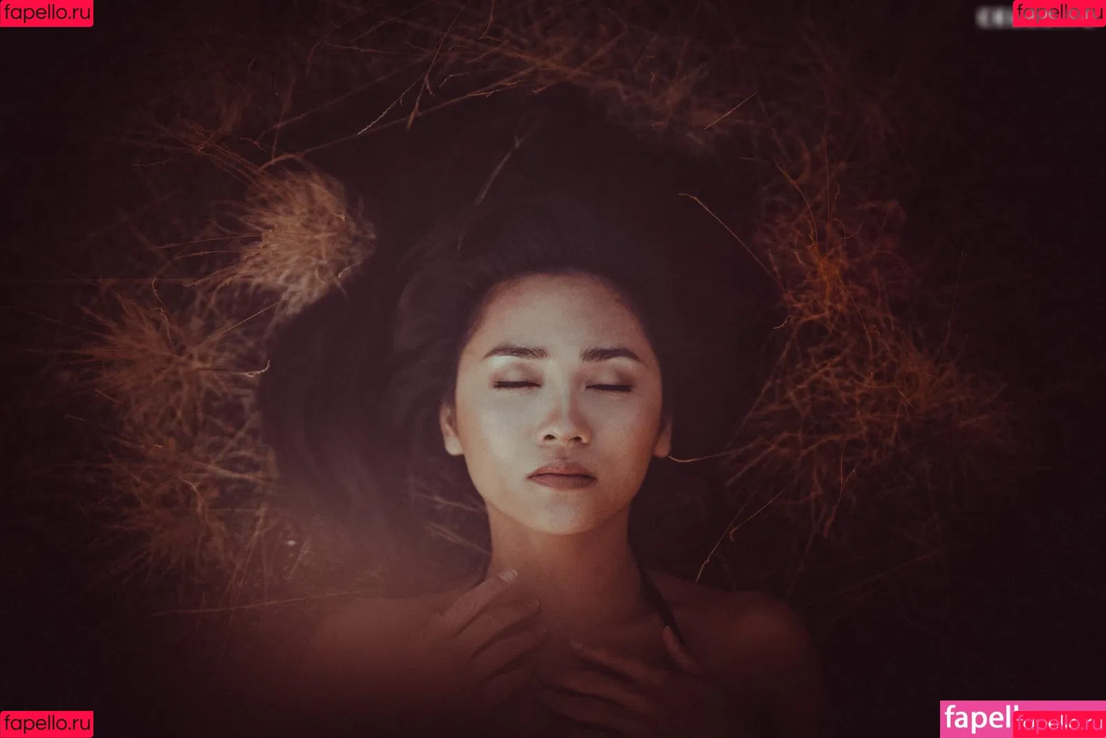 Mai Duong Kieu Onlyfans Photo Gallery 