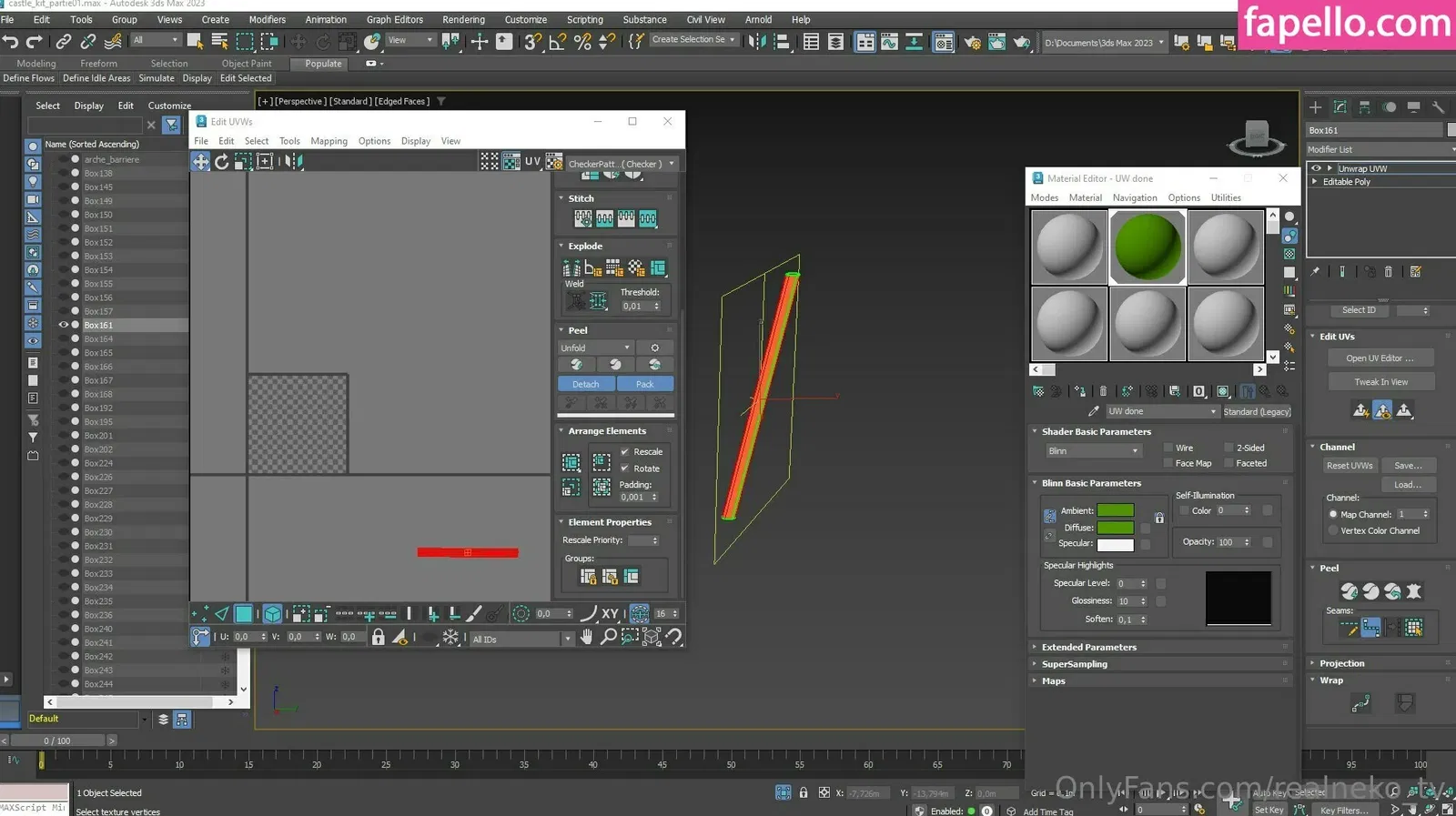 realneko_tv Onlyfans Photo Gallery 