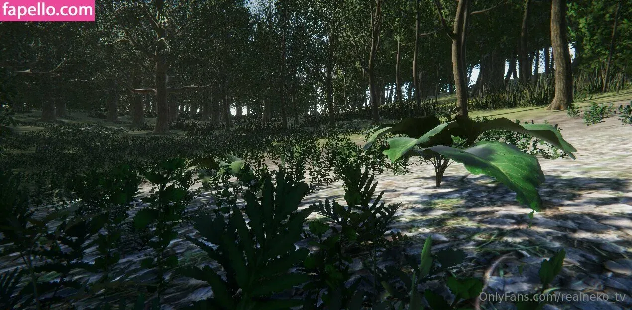 realneko_tv Onlyfans Photo Gallery 