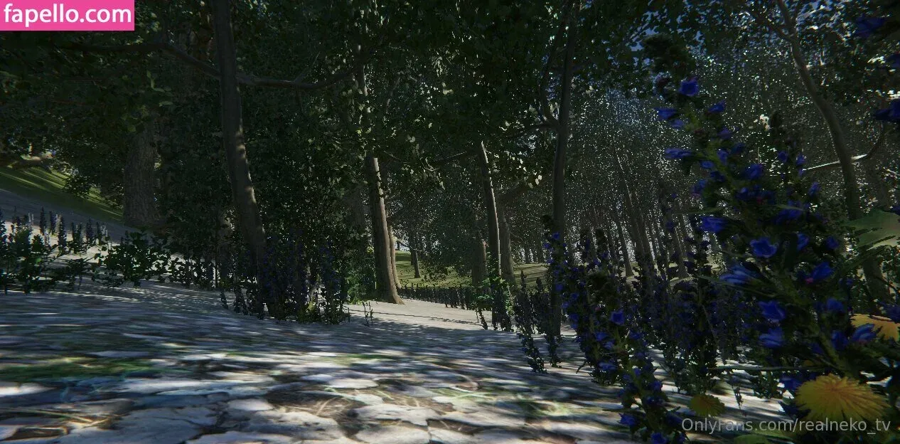 realneko_tv Onlyfans Photo Gallery 