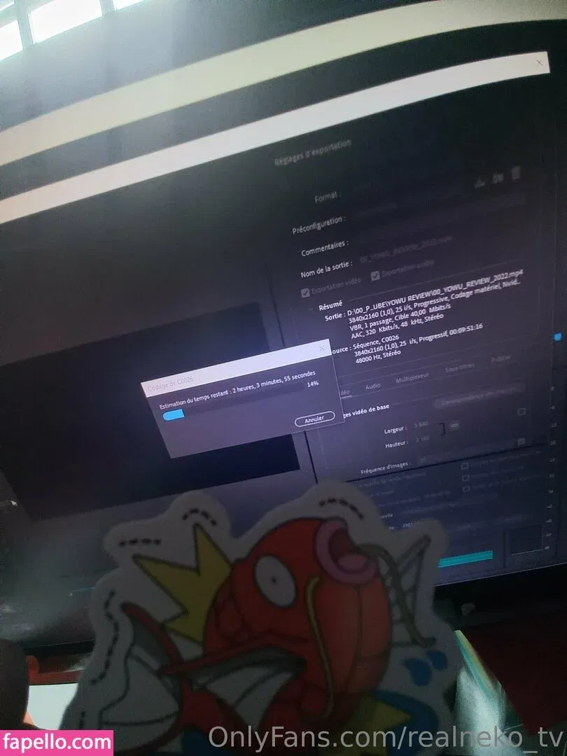 realneko_tv Onlyfans Photo Gallery 