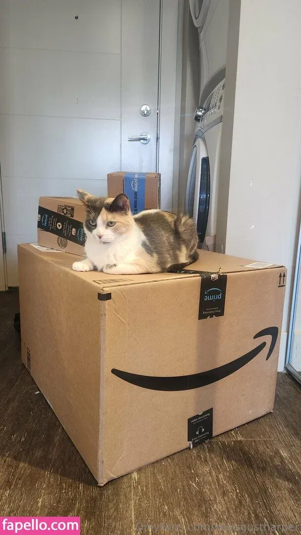 xoaugustharper Onlyfans Photo Gallery 