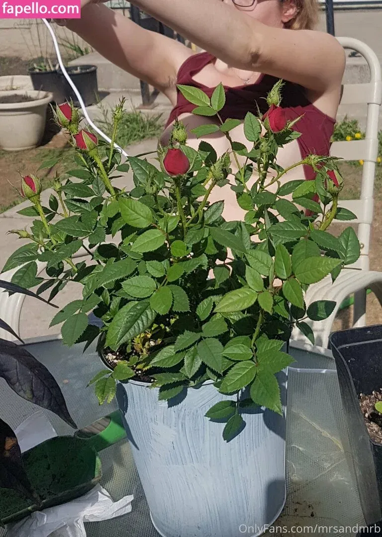 curvyycandyyfree Onlyfans Photo Gallery 