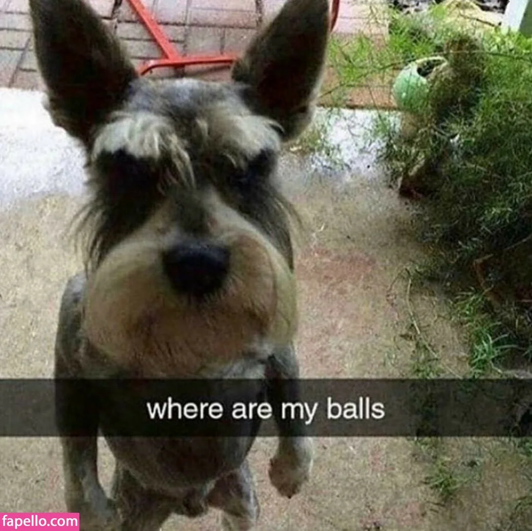 Kuroshiika Onlyfans Photo Gallery 