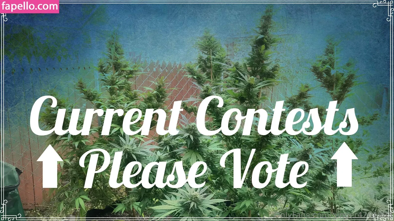 ginger420expo Onlyfans Photo Gallery 