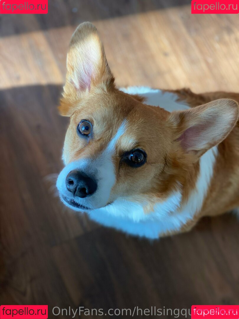 hellsingqueen666 Onlyfans Photo Gallery 