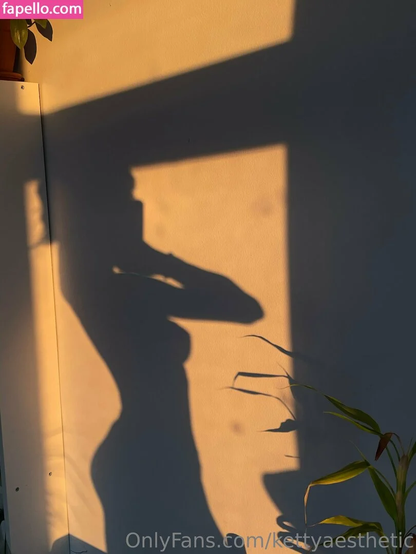 kettyaesthetic Onlyfans Photo Gallery 