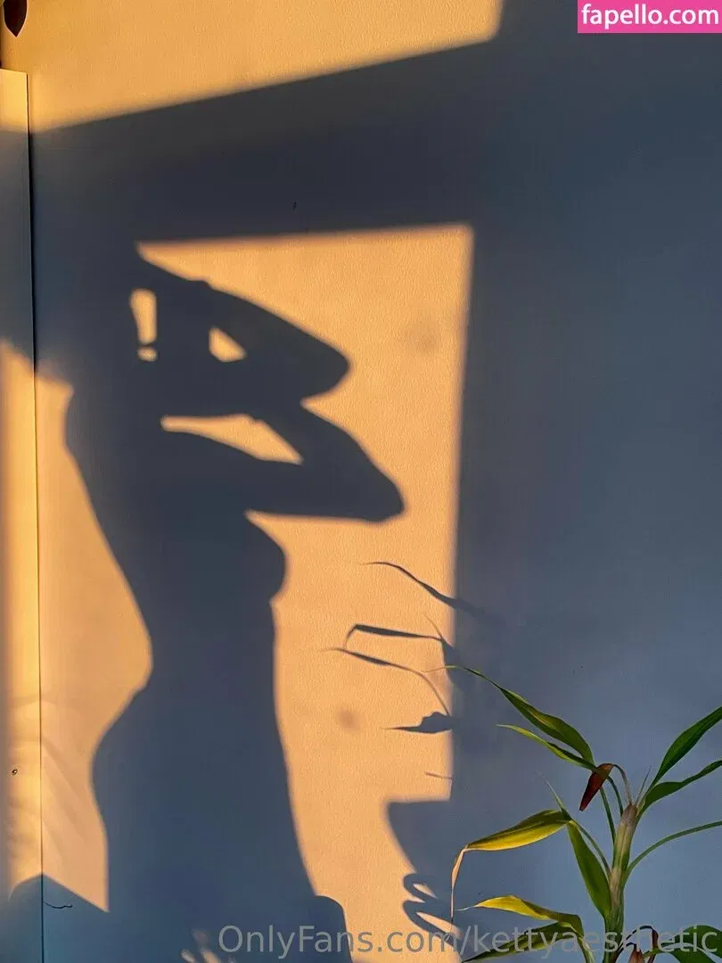 kettyaesthetic Onlyfans Photo Gallery 