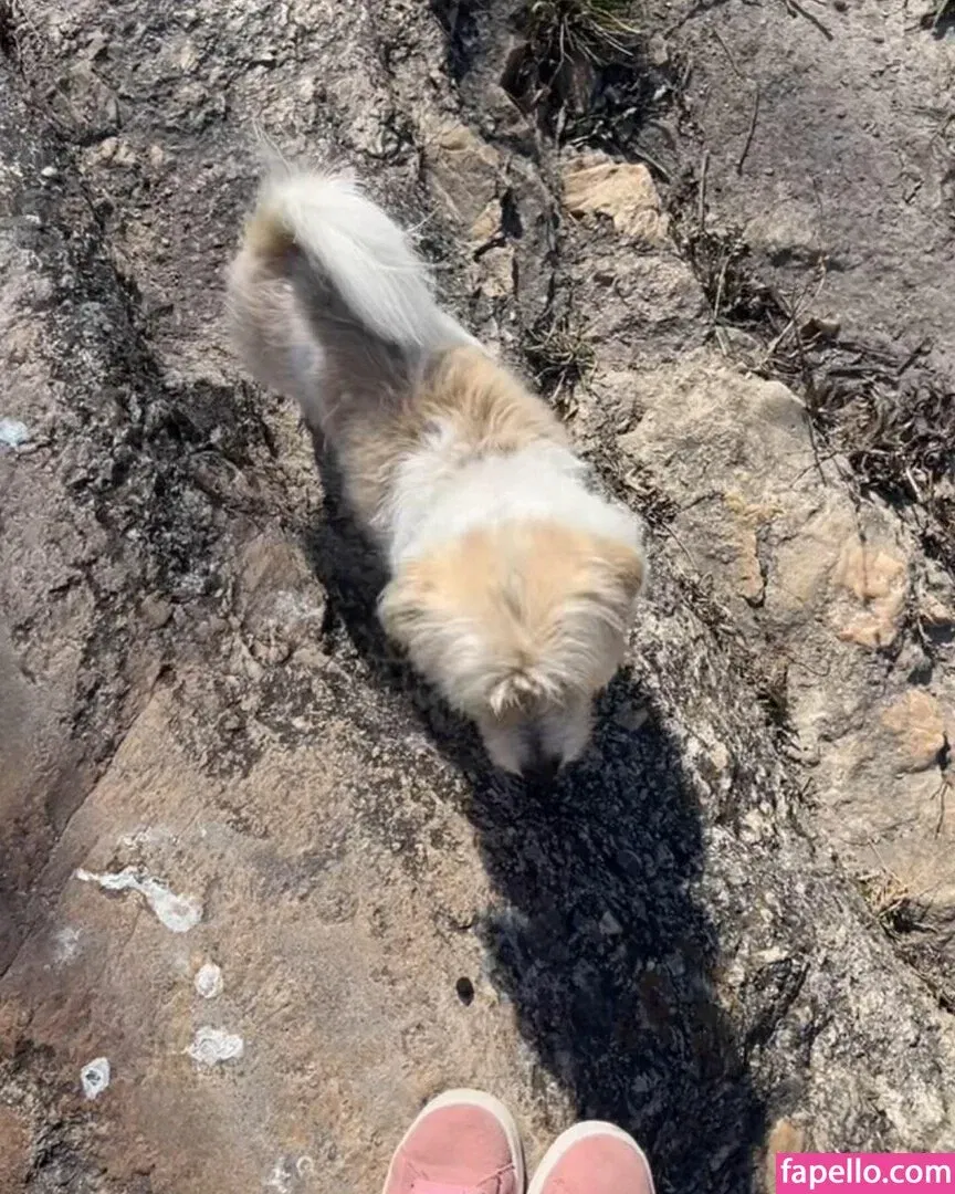 Hairy Luvo Onlyfans Photo Gallery 